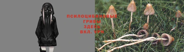спиды Алексеевка